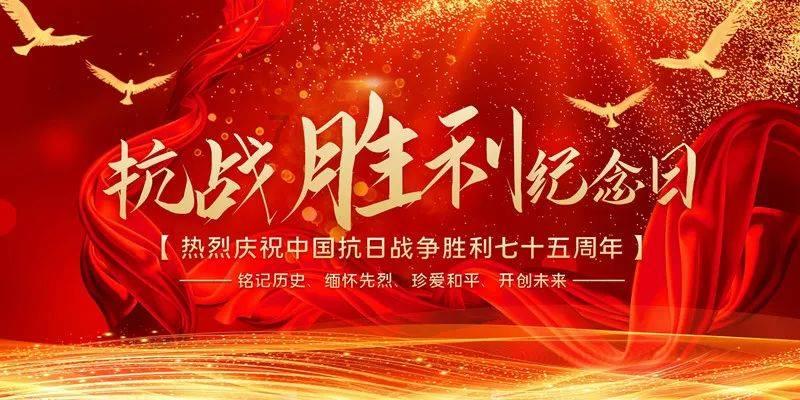植物大战僵尸6